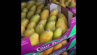 Fresh vegetables on the car | Ocala Florida