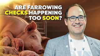 When Should We Assist a Farrowing Sow - Dr. Alexander Grahofer Update