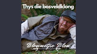 Blommetjie Blom