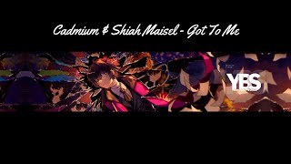 Cadmium & Shiah Maisel - Got To Me