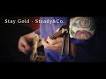 Stay Gold &middot; Steady&amp;Co. 三線