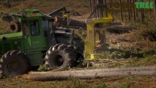 ForesTree Equipment Trader