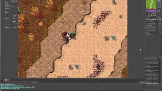 Xenobot Tutorial Scripts (Undead Dragons Task script full afk) Hexera Tibia game