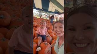 Family Fall Fun at Hunsader Farms - Our Favorite Pumpkin Patch Tradition 🍂