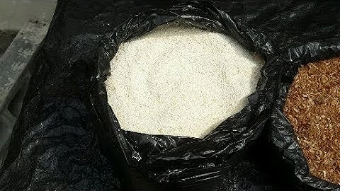 Formula 2 fish feed production PART 1(MATERIALS)