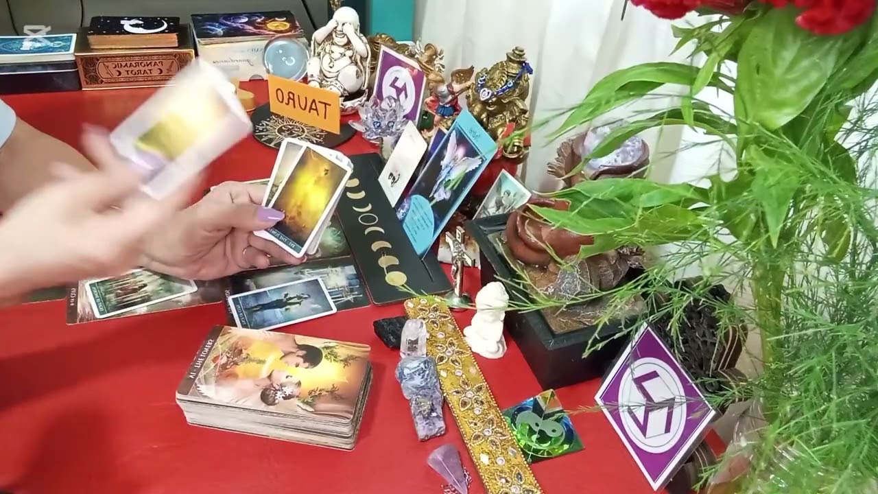 TAURO ♉ FESTEJOS , CELEBRACIÓN, SE ABREN PUERTAS, AUMENTO EN EL FLUJO DE ABUNDANCIA,MANIFIETSA ✨