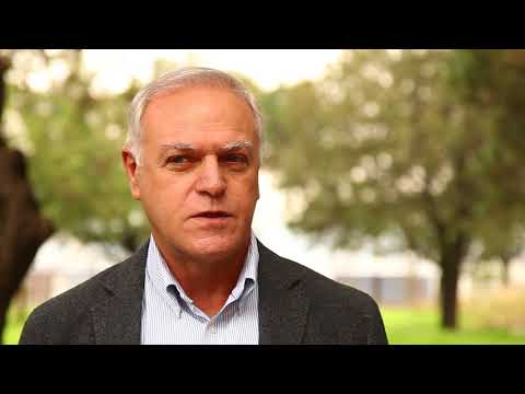 ჯონი შუბითიძე - არემჯის გენერალური დირექტორი