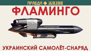Фламинго: украинская крылатая ракета