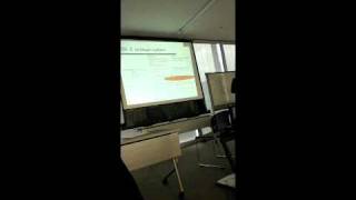 SK-Ⅱ Globalization Project in funniest english