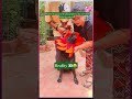 Funny dog video😃#dog #cute #pets #labrador #dogs #doggie #dhappa #doglife #funny