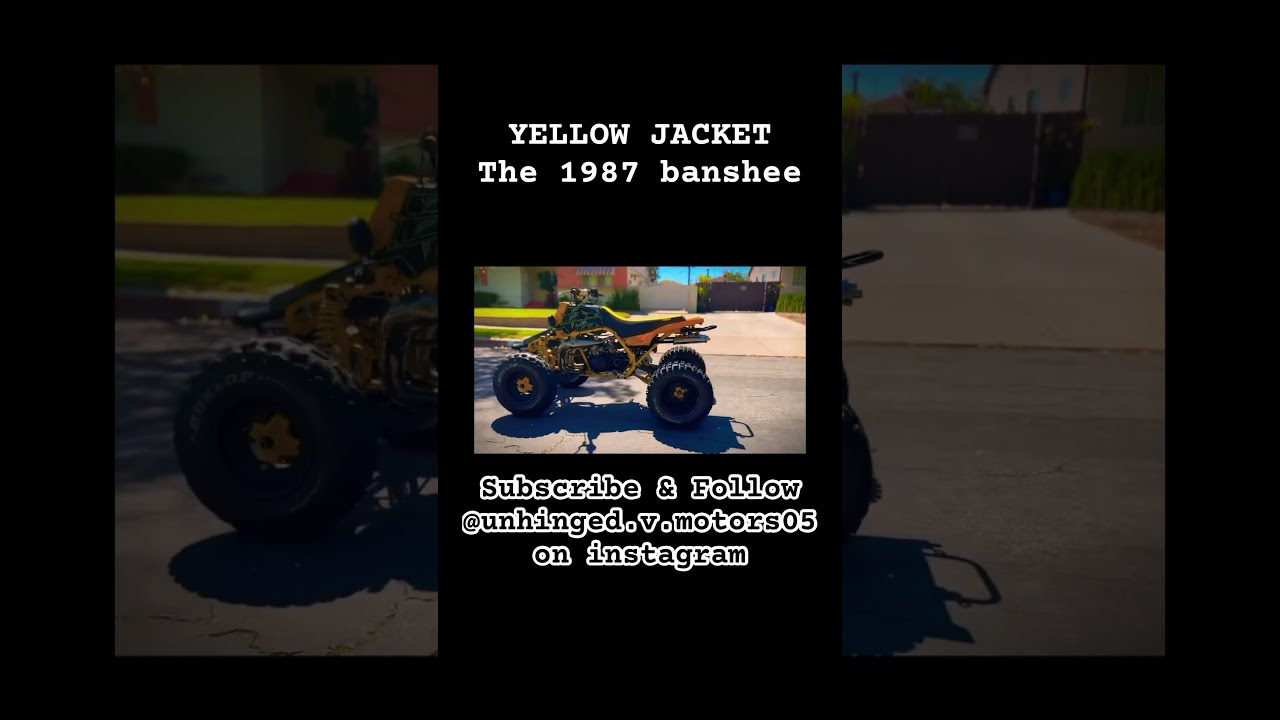 Meet YELLOWJACKET the restored 1987 banshee