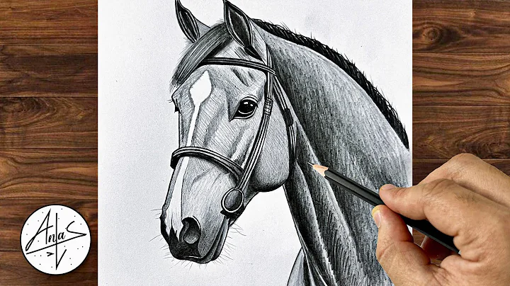 How To Draw a Horse | Step by Step Drawing Tutorial