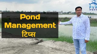 Pond Management Tips for Successful Fish Farming | PvrAqua