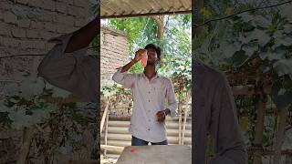 Sting + Lassi Drink 🍻 #youtubeshorts #experiment #youtube
