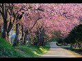 Самые красивые места в Японии