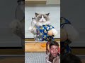Egg makeover#😃! thatlittlepuff🧐#shorts 😋#video🥚#viral#cat 🐱