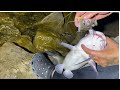 Fishing at night for big catfish #fishing တခွဲညၣ်ကိၣ်ဖးဒိၣ်လၢမုၢ်နၤခီ