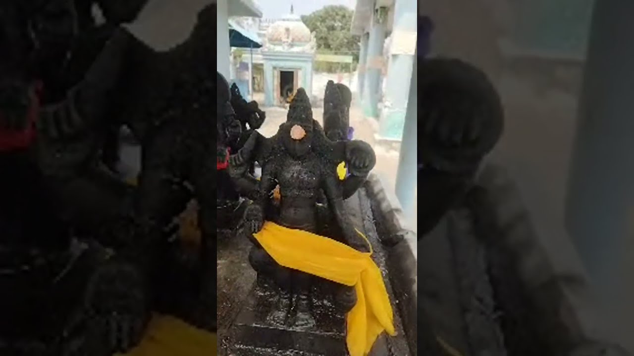 katiyapati route| மஞ்சள்காமாலை