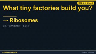 Ribosomes | ICSE-ISC Class 9 Biology | Synapse