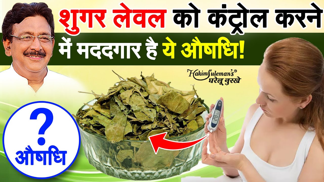 डायबिटीज के मरीज ब्लड शुगर कंट्रोल के लिए ऐसे करें गुड़मार का सेवन!