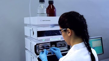 A New Benchmark in Efficiency