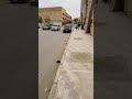 هذا حال أغلب طرق وسط مدينة بسكرة للأسف هذا حال أغلب طرق وسط مدينة بسكرة للأسف