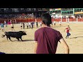 شاهد حفل افتتاح مهرجان الثور