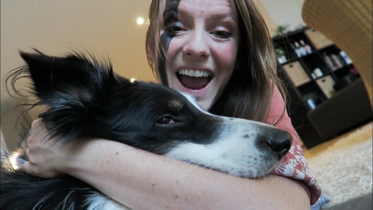 MY DOG IS COVERED IN CURRY SAUCE Day 11 YouTube