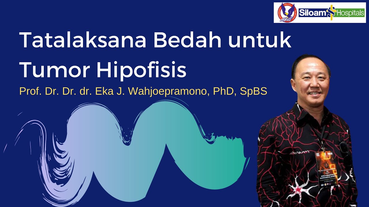 Pakar Bedah Saraf Dunia Membahas Tumor Otak Hipofisis Prof Eka J Wahjoepramono Youtube