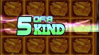 POLA ROOM JACKPOT FULL BURUNG DUOFU DUOCAI