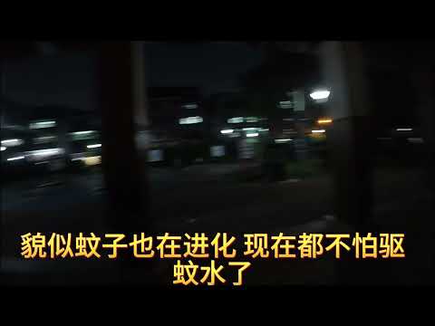 公园锻炼vlog