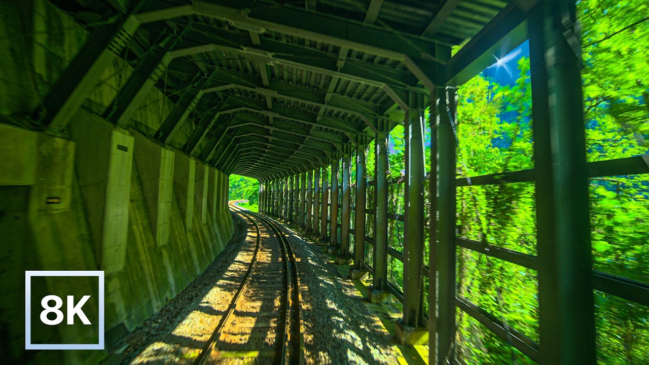 Green Summer Ride in Nagano / 8K 60fps HDR / Calm Piano + Natural Ambience