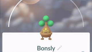Pokemon Go Bonsly Pokedex 360 Degree View