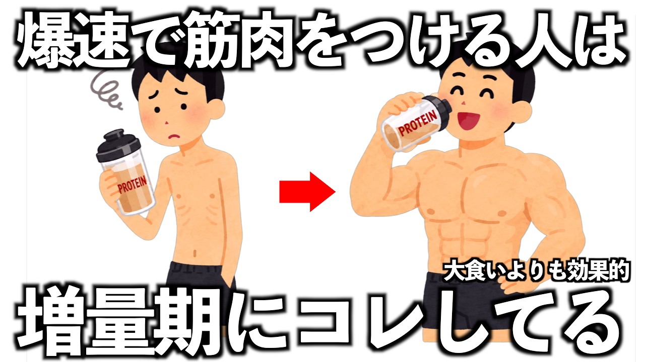 最速でムキムキになる人は、増量期にコレしてる10選