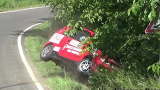 4° Rally Il Grappolo 2019 - Crashes & Mistakes