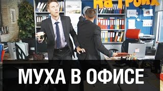 Назойливая муха в офисе — На троих — 2 серия