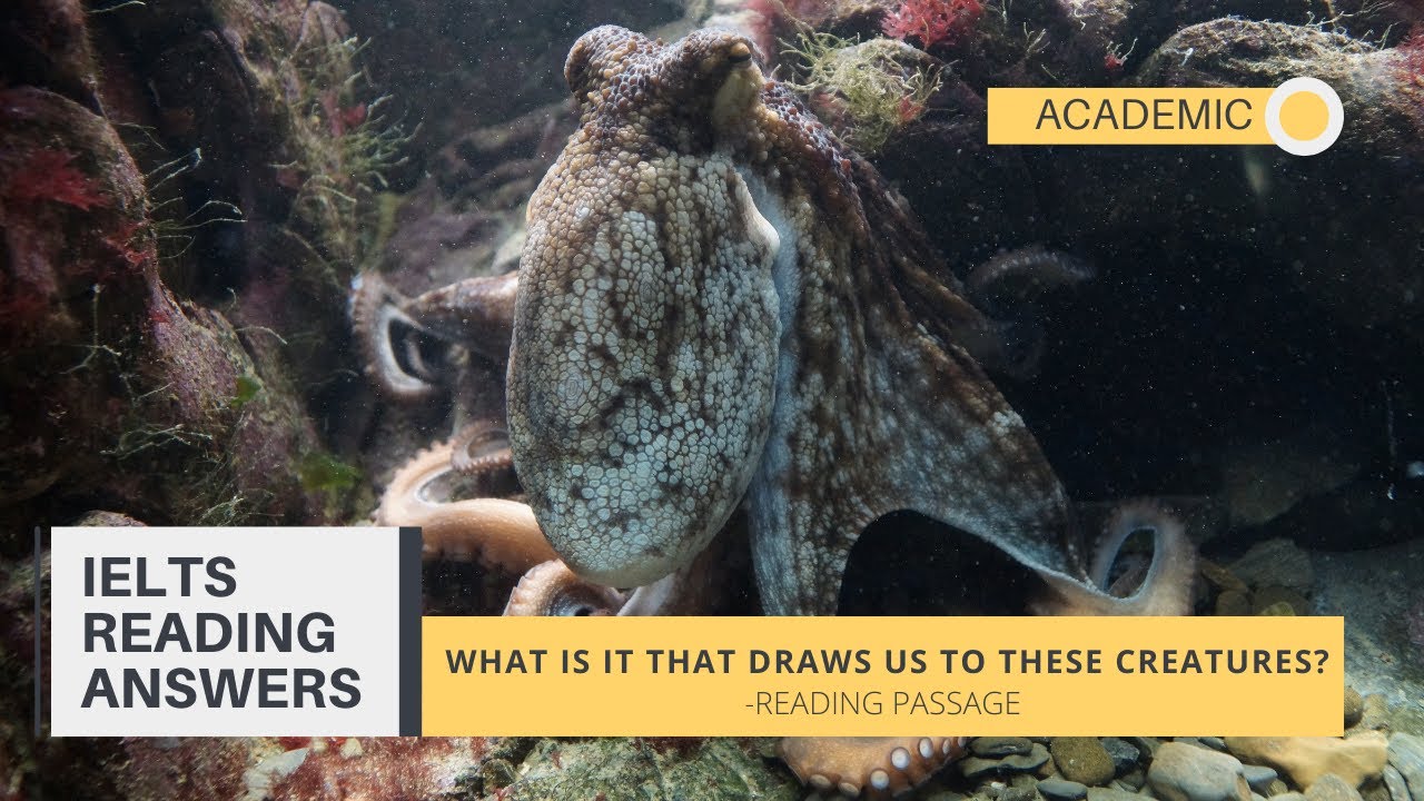 What Is It That Draws Us To These Creatures Academic Reading Answers What is it that draws us to these creatures academic reading answers
