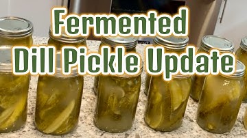 Fermented Dill Pickle Update /  Making Dill Pickles in a Crock