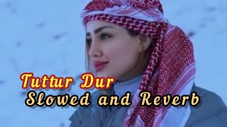 Tuttur Dur - Slowed and Reverb lo-fi Song 2023_A New Arabic Remix Song 2023