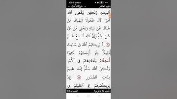 سورة الأنفال صفحة (١٨٢)