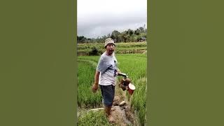 Wong Edan Q&A viral.. video lucu..