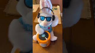 Gemmy DJ bunny