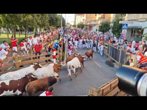 Vídeo: Primer encierro Fiesta de Tudela 2024
