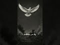 اللهم اطعمهم من جوع وأمنهم من خوف غزة اللهم اطعمهم من جوع وأمنهم من خوف غزة