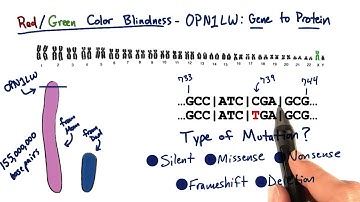 OPN1LW - Tales from the Genome