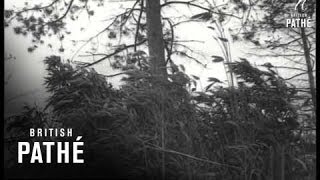 Floods In The Thames Valley (1959)