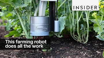 This farming robot does all the work for you