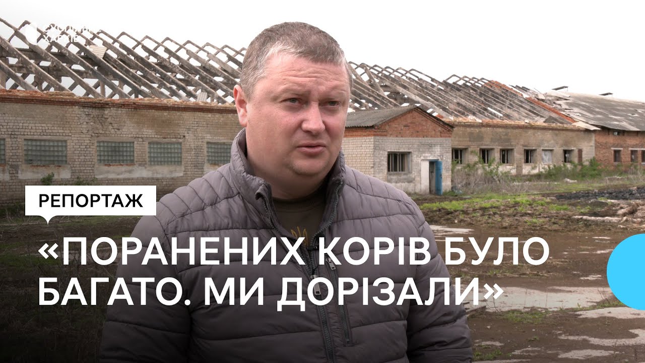 Ферма у Кутузівці потребує 200 млн гривень на відновлення