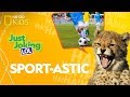 Humorous Sports Questions
