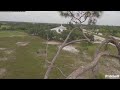 Southwest florida eagle cam